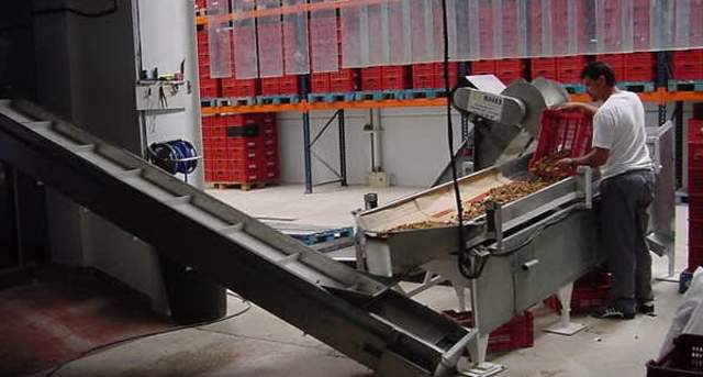 Top Freeze Dried Fruit Manufacturers And Suppliers in Spain