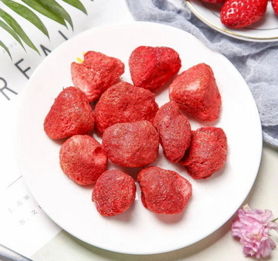 Take Freeze Dryer To Work_2