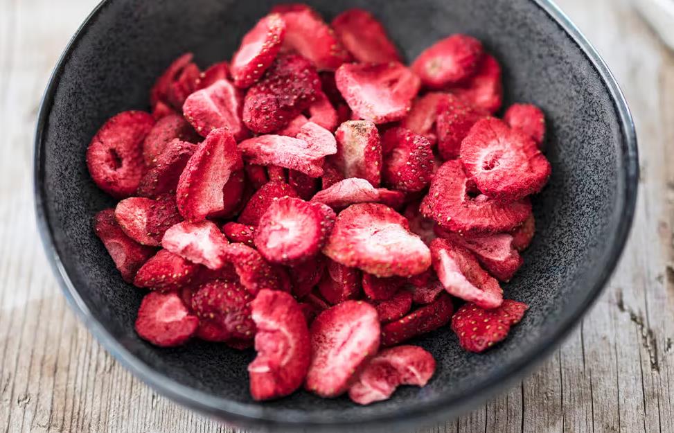 What Can You Do with A Freeze Dryer-_1