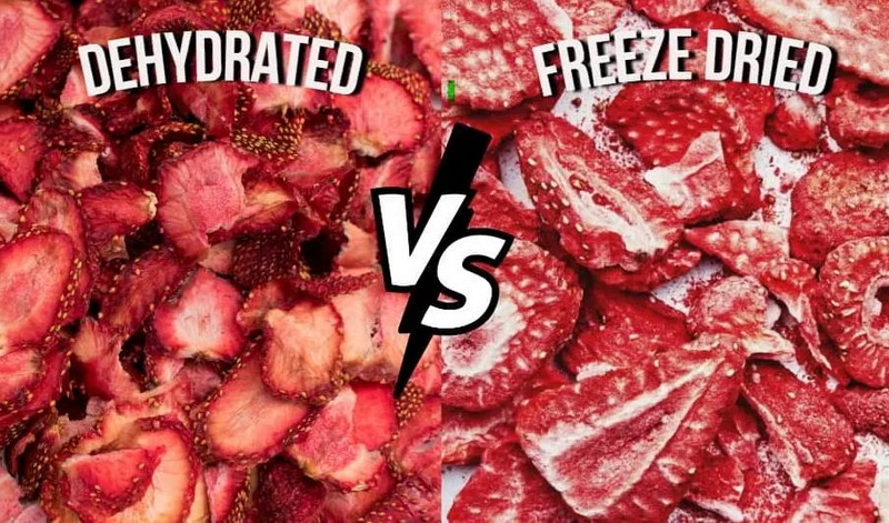 Is Food Dehydrator Same As Freeze Dryer-_1