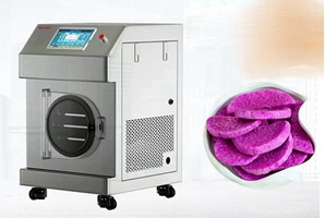 same thing as a freeze dryer_4