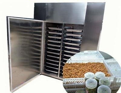 buy a freeze dryer_1