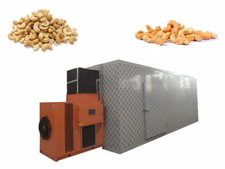 Top Cashew Nut Dryer Manufacturers And Suppliers in America