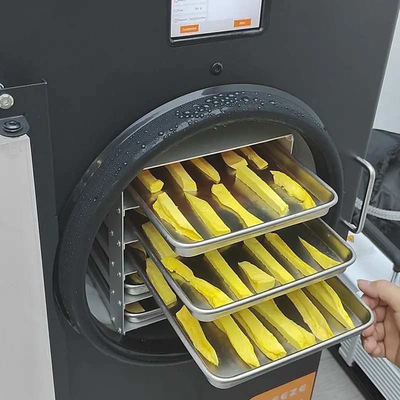 Top Food Freeze Drying Machine Manufacturers And Suppliers in Portugal