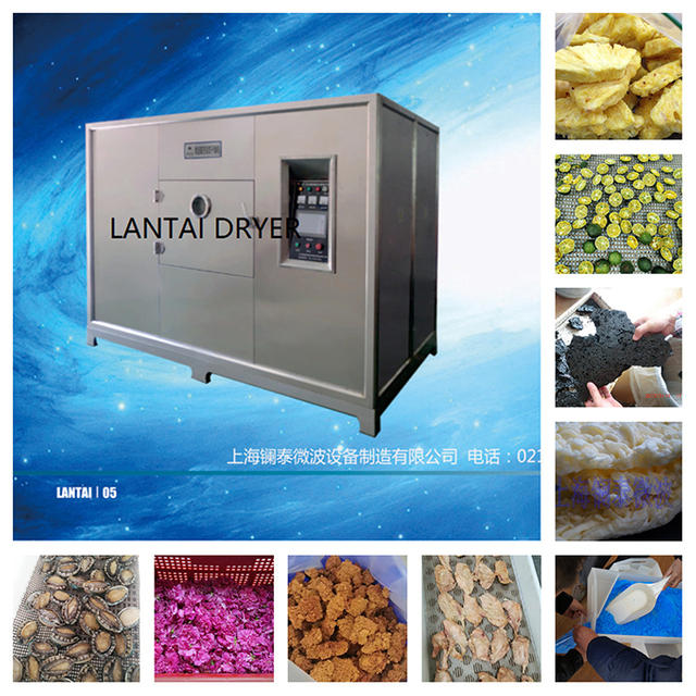 Application and characteristics of low temperature microwave vacuum dryer