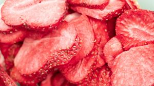 freeze dryer and dehydrator _4