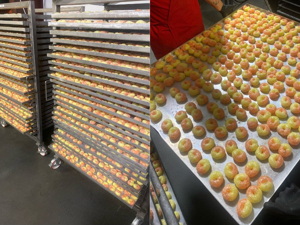 dehydrators and freeze dryers _3