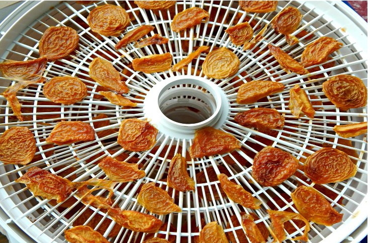 Can You Freeze Dry Candy without A Freeze Dryer-_1