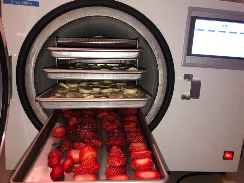 Can You Make Your Own Freeze Dryer-