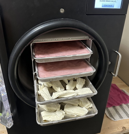 freeze dryers worth_2