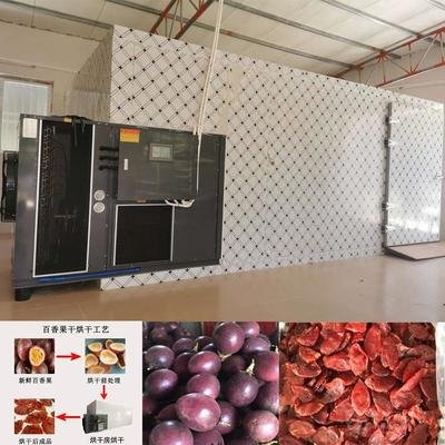 freeze dry without a freeze dryer_1