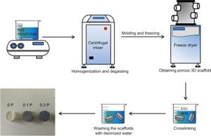 does a freeze dryer get_4