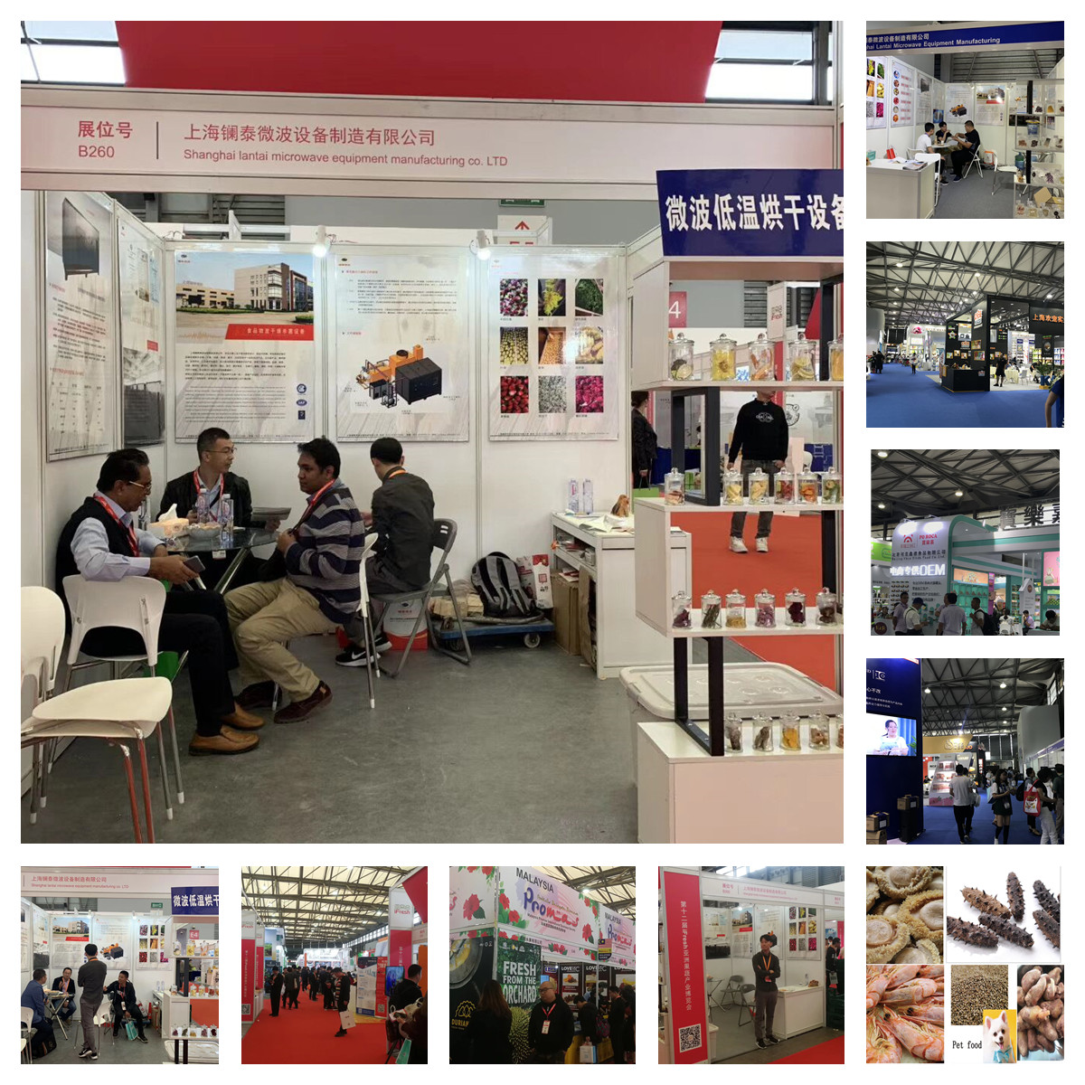 American ginseng drying